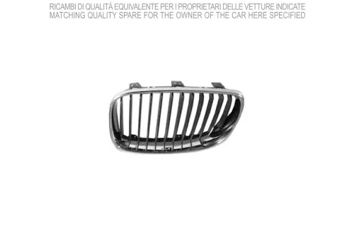 Radiator Grille