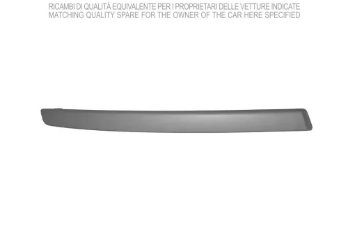 Trim/Protection Strip, bumper