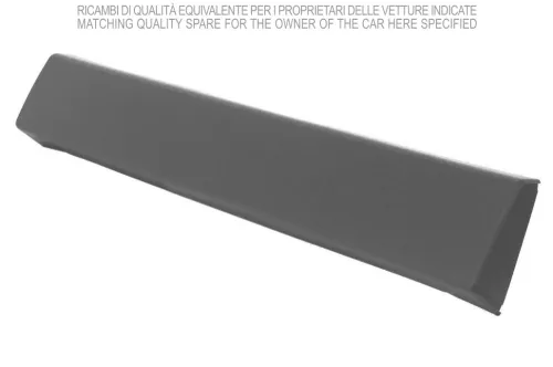 Striscia di protezione/rifinitura, paraurti