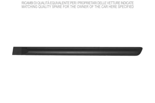 Striscia di protezione/rifinitura, ala