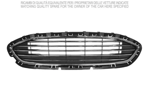 Radiator Grille