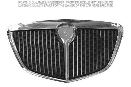 Radiator Grille