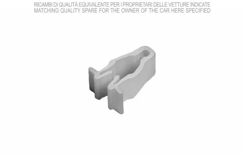 Clip, trim/protection strip