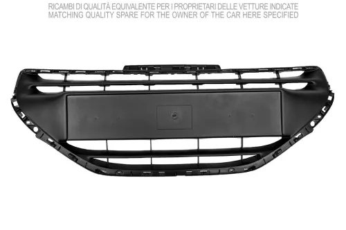 Radiator Grille