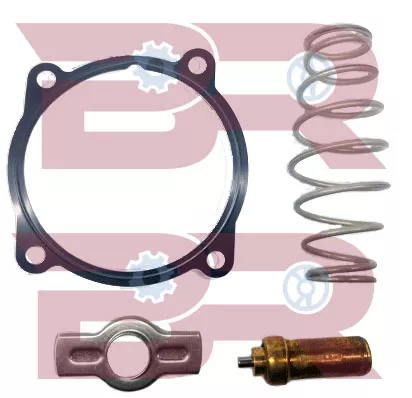 THERMOSTAT OVERHAUL KIT
