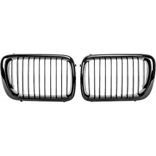 Radiator Grille