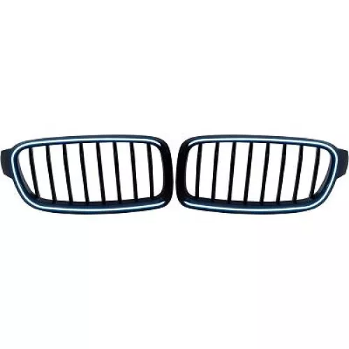 Radiator Grille