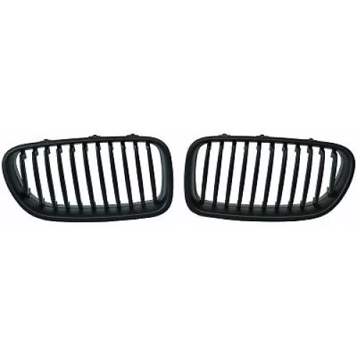 Radiator Grille