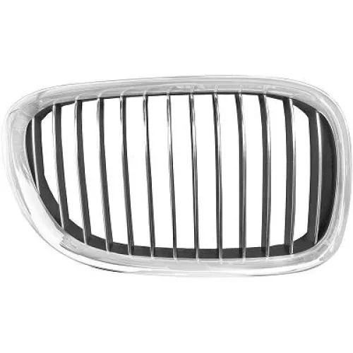 Radiator Grille