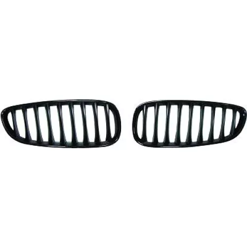 Radiator Grille