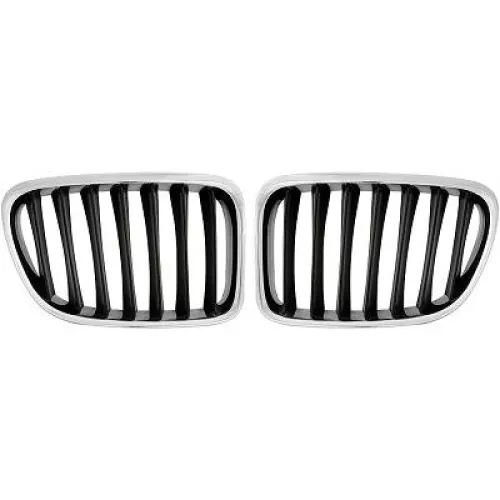 Radiator Grille