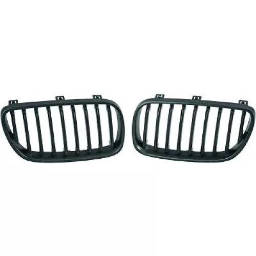 Radiator Grille
