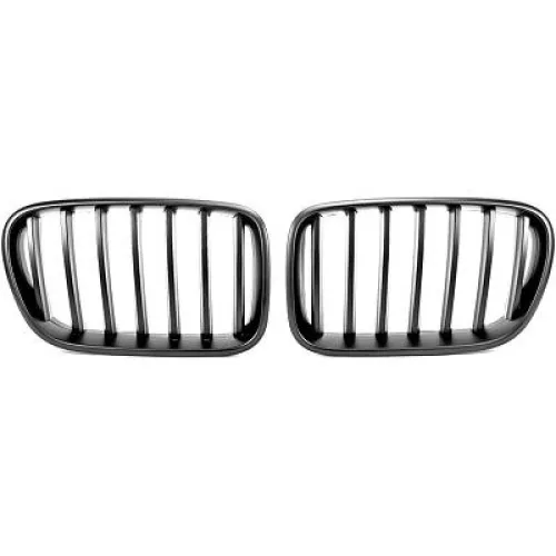 Radiator Grille