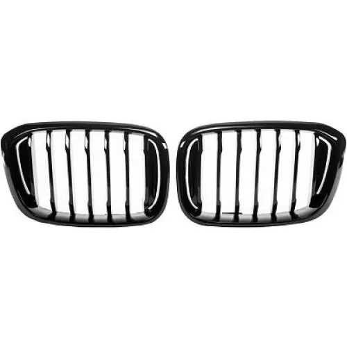 Radiator Grille