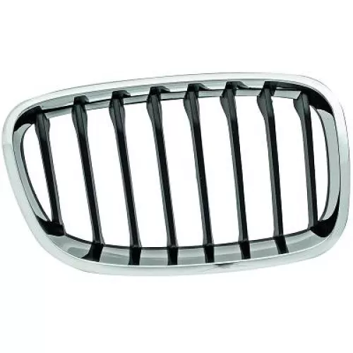 Radiator Grille