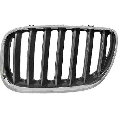 Radiator Grille