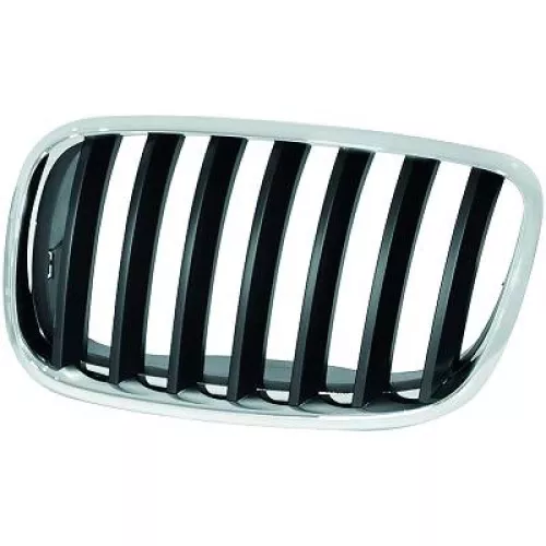 Radiator Grille