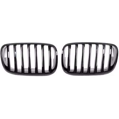Radiator Grille