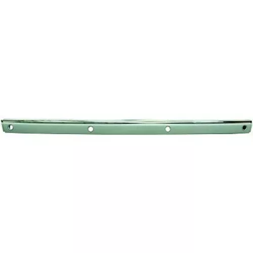 Trim/Protection Strip, bumper
