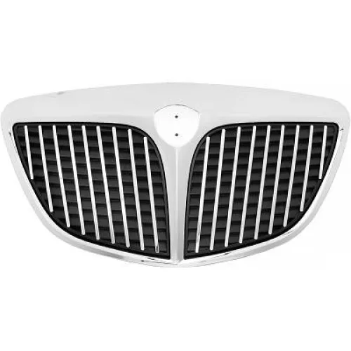 Radiator Grille