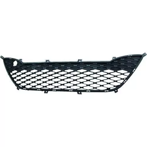 Radiator Grille