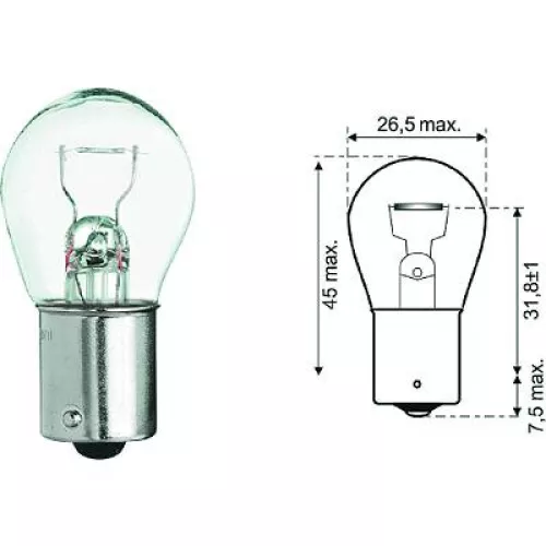 Bulb