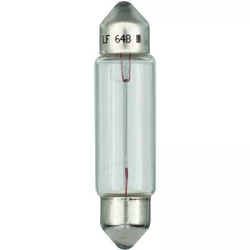 Bulb, interior light