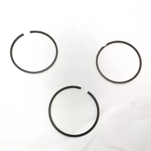 00444|Piston ring kit|