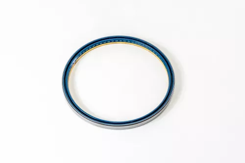 Paraolio, Albero a camme