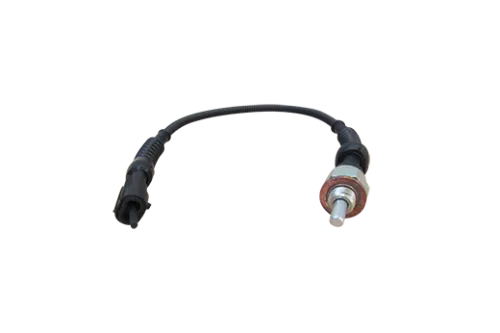 Interruttore/Comando/Innesto