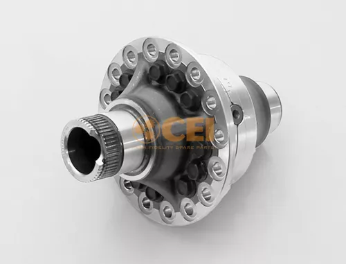 Ruotismo differenziale