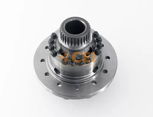 Ruotismo differenziale