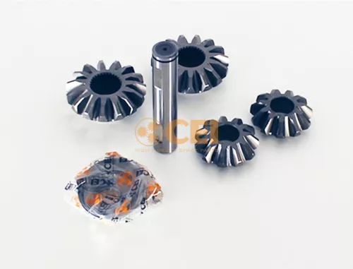 Kit riparazione, Differenziale