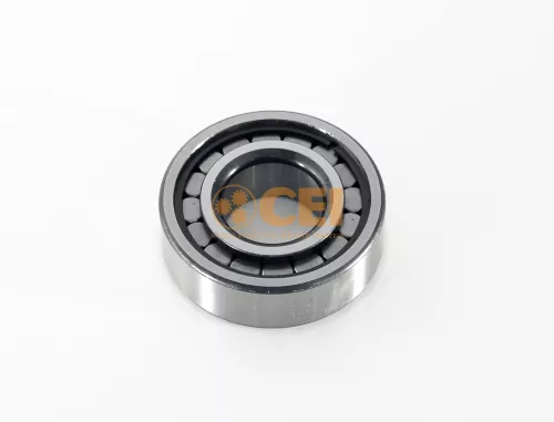 Cuscinetto, Differenziale